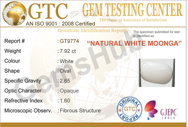 7.92 ct Natural Certified  White Coral/सफ़ेद मूंगा